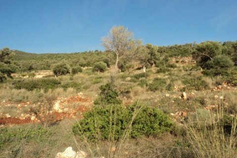 Land in Lefkada, Greece No. 28069 4