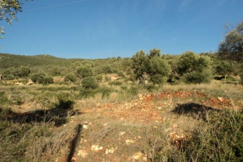 Land in Lefkada, Greece No. 28069 8