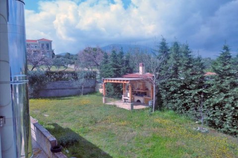 4 bedrooms Villa in Central Greece, Greece No. 49286 12