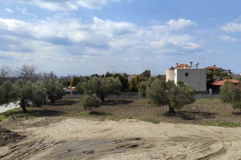 Вилла с 4 спальнями в Халкидики, Греция №51973 2