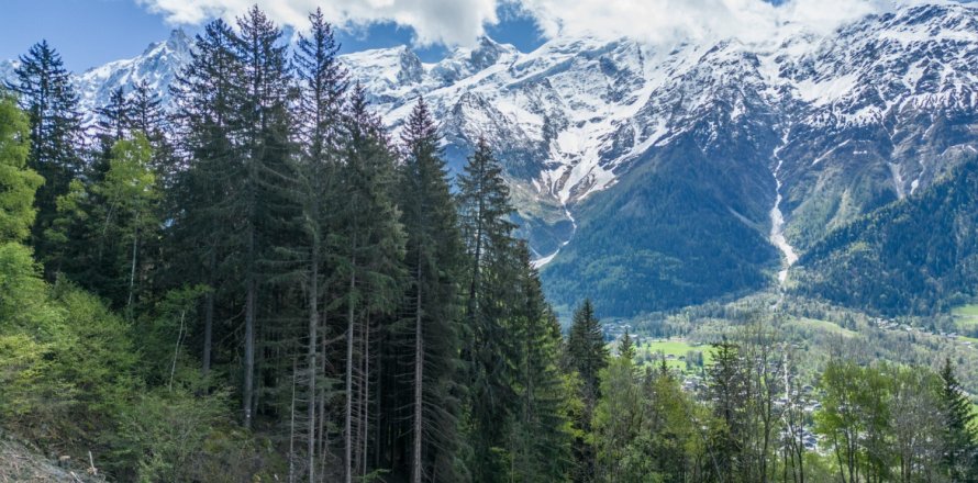 3 bedrooms House in Les Houches, France No. 99444