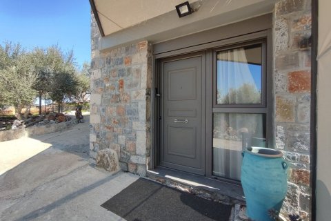 288m² House in Neapoli, Greece No. 108486 3