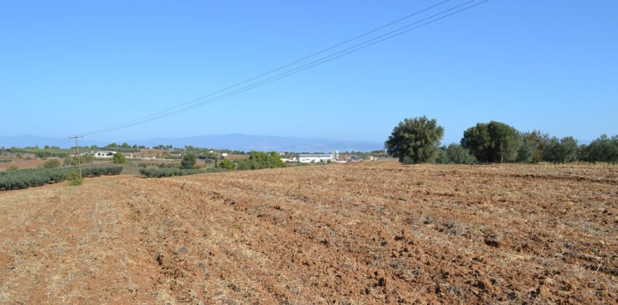 20000m² Land in Chalkidiki, Greece No. 58455
