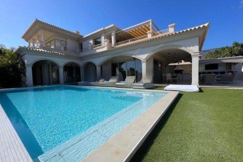 7 chambres Villa à Tenerife, Spain No. 128230