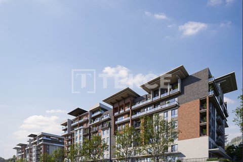 3 chambres Penthouse à An Thuy, Vietnam No. 17602 9