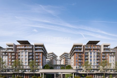 3 chambres Penthouse à An Thuy, Vietnam No. 17602 8