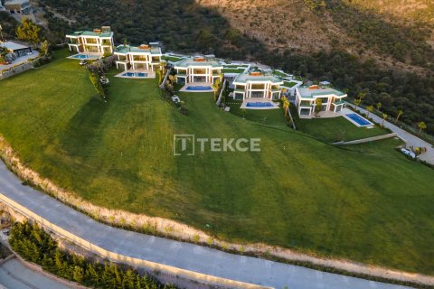 6 dormitorios Villa en Phi Dien, Vietnam No. 11330 8