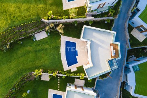 6 dormitorios Villa en Phi Dien, Vietnam No. 11330 5