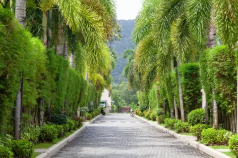 3 chambres Villa à Phuket, Thailand No. 3157 12