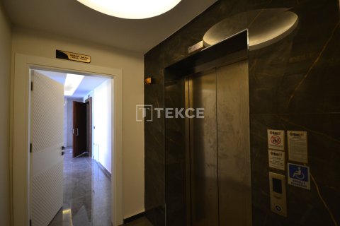 2 dormitorios Apartment en Chau Lang, Vietnam No. 11055 27