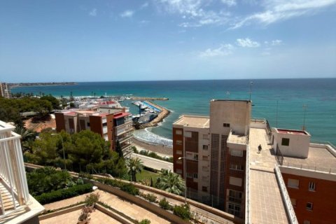 Studio Appartement à La Zenia, Spain No. 129425