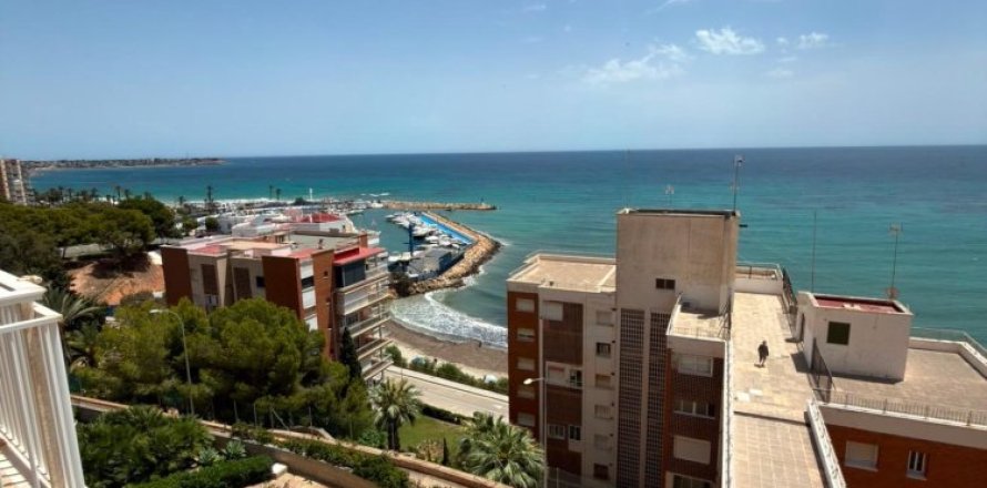 Studio Appartement à La Zenia, Spain No. 129425