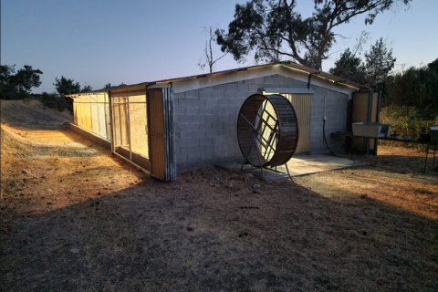 3 chambres House à Moni, Cyprus No. 79024 4