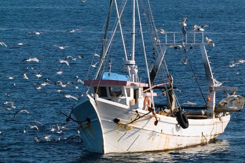 1 dormitorio Villa en Volos, Greece No. 50003 3