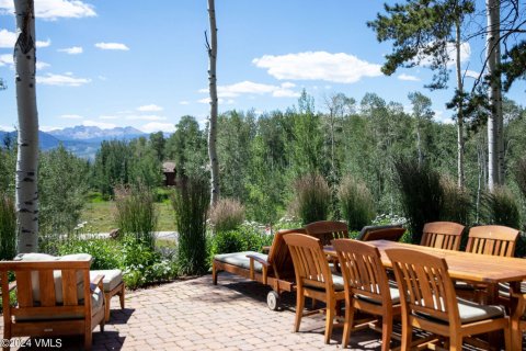 5 dormitorios House en Avon, USA No. 62043 24