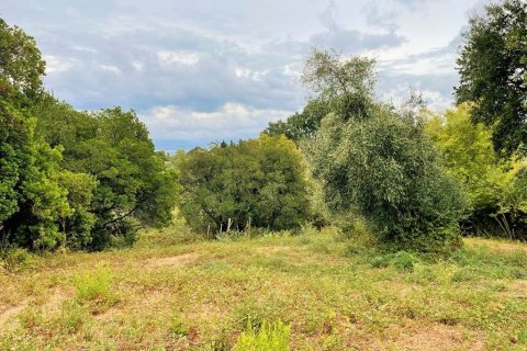 4470m² Land in Corfu, Greece No. 55855 7