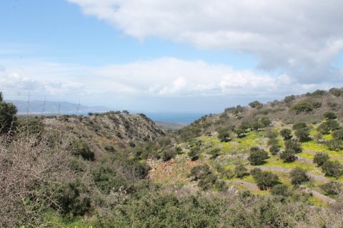 10800m² Land in Neapoli, Greece No. 57307 3