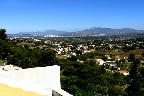 4 chambres House à Markopoulo Mesogaias, Greece No. 57289 16