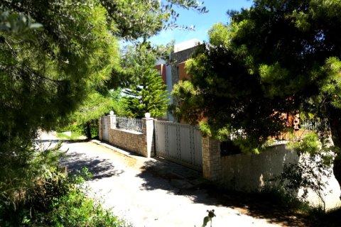4 chambres House à Markopoulo Mesogaias, Greece No. 57289 18