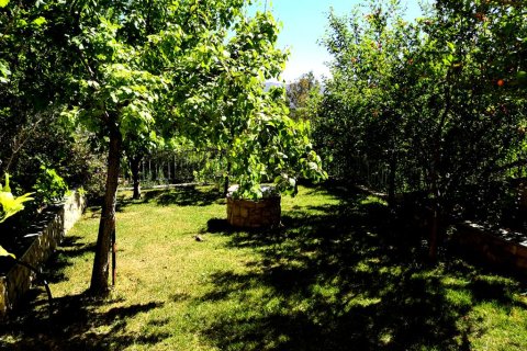 4 chambres House à Markopoulo Mesogaias, Greece No. 57289 17