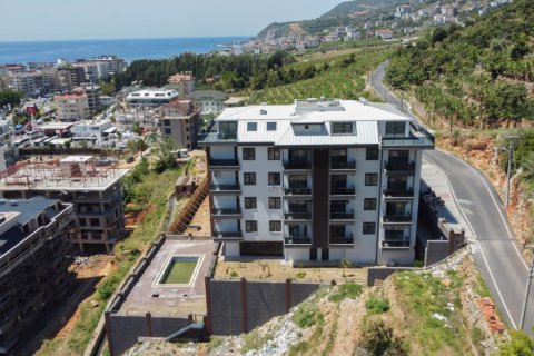 1 bedroom Apartment in Chau Lang, Vietnam No. 13648 1