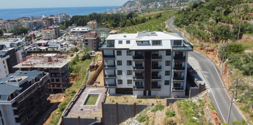 1 bedroom Apartment in Chau Lang, Vietnam No. 13648