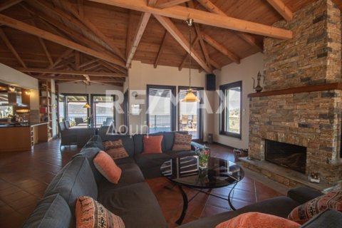 Дом с 3 спальнями в Магнисия, Греция №104631 3