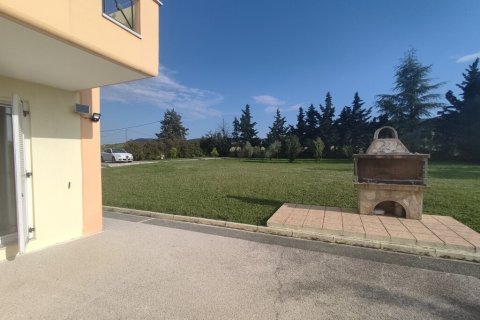 5 bedrooms House in Vasilika, Greece No. 55526 26