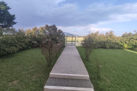 5 bedrooms House in Vasilika, Greece No. 55526 27