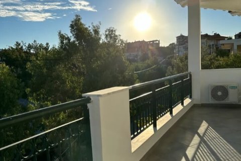 Отель, гостиница с 14 комнатами в Халкидики, Греция №107916 7