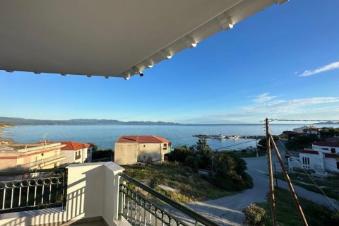 Отель, гостиница с 14 комнатами в Халкидики, Греция №107916 18