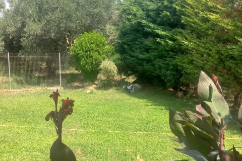 2 bedrooms Villa in Kavala, Greece No. 109040 21