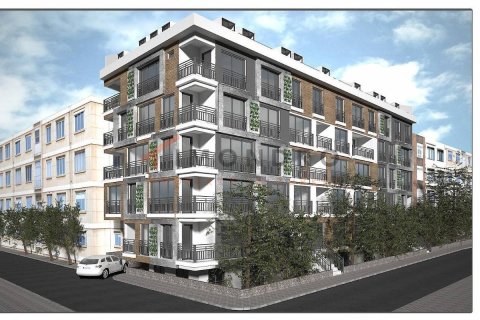 3 bedrooms Apartment in Tien Lang, Vietnam No. 17753 1