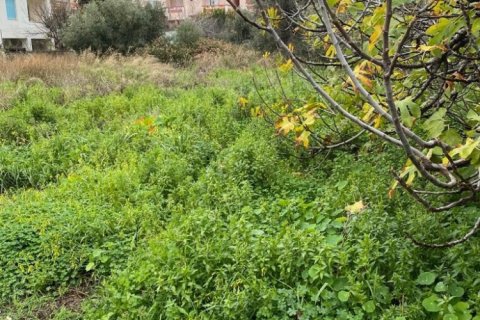 1372m² Land in Chania, Greece No. 55696 1