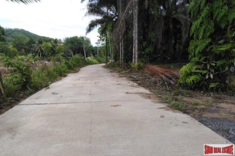 41988m² Land in Phang Nga, Thailand No. 95991 2