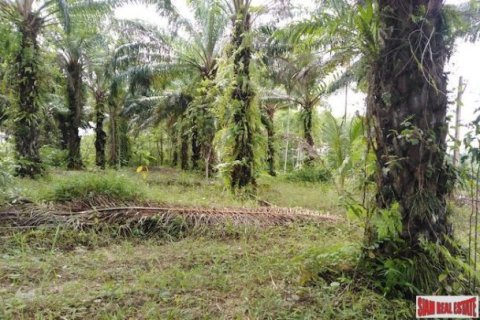 41988m² Land in Phang Nga, Thailand No. 95991 4