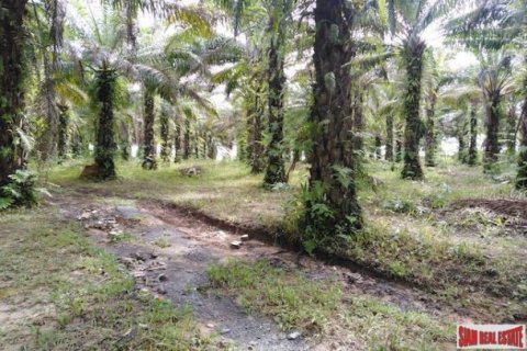 41988m² Land in Phang Nga, Thailand No. 95991 1