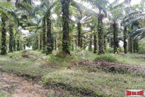 41988m² Land in Phang Nga, Thailand No. 95991 7