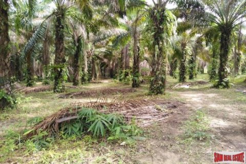 41988m² Land in Phang Nga, Thailand No. 95991 6