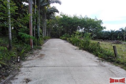 41988m² Land in Phang Nga, Thailand No. 95991 3