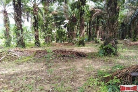 41988m² Land in Phang Nga, Thailand No. 95991 5