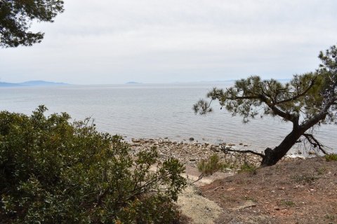 2 bedrooms Apartment in Chalkidiki, Greece No. 55099 25