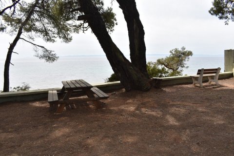 2 bedrooms Apartment in Chalkidiki, Greece No. 55099 24