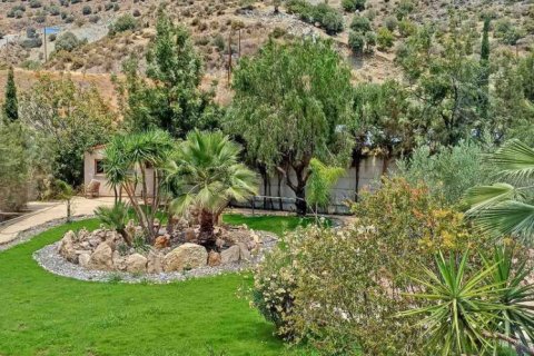 5 chambres Villa à Limassol, Cyprus No. 74103 6