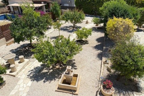 5 dormitorios House en Pegeia, Cyprus No. 37320 6