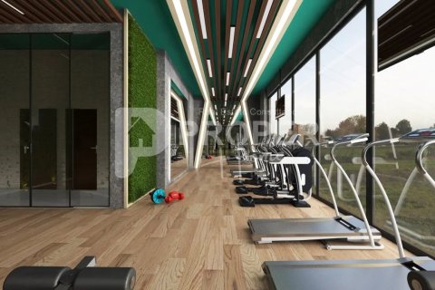 3 rooms Apartment in Chau Lang, Vietnam No. 12277 6