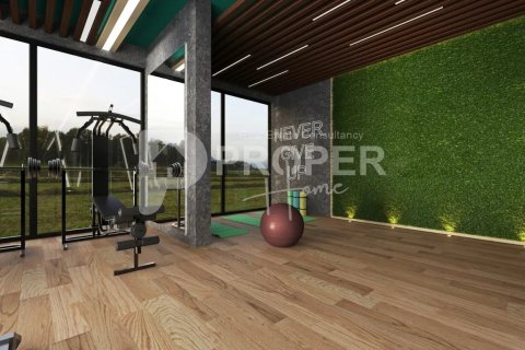 3 rooms Apartment in Chau Lang, Vietnam No. 12277 7