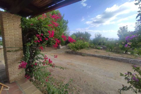 4 chambres House à Zakynthos, Greece No. 69545 21