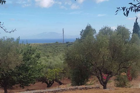 4 chambres House à Zakynthos, Greece No. 69545 22