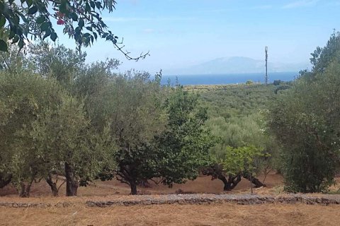 4 chambres House à Zakynthos, Greece No. 69545 24